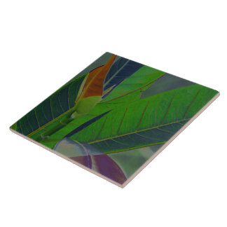 Azulejo Hojas Verdes Primer Plano