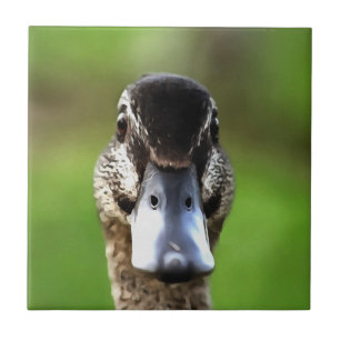 Azulejo Hola Ducky Quirky Duck Retrato