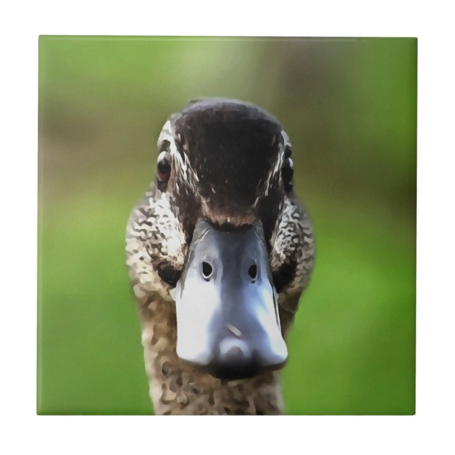 Azulejo Hola Ducky Quirky Duck Retrato (Frente)