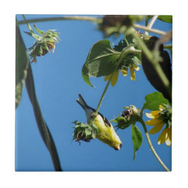 Azulejo Hola. Goldfinch