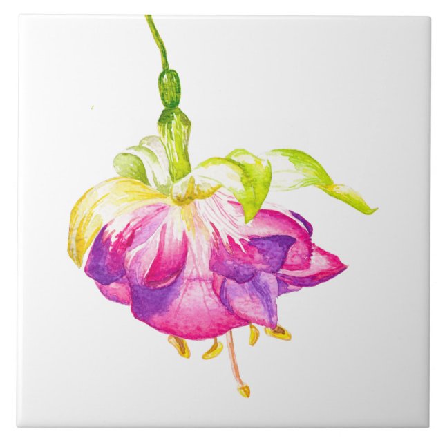 Azulejo Holi on a Ceramic Tile (B) (Frente)