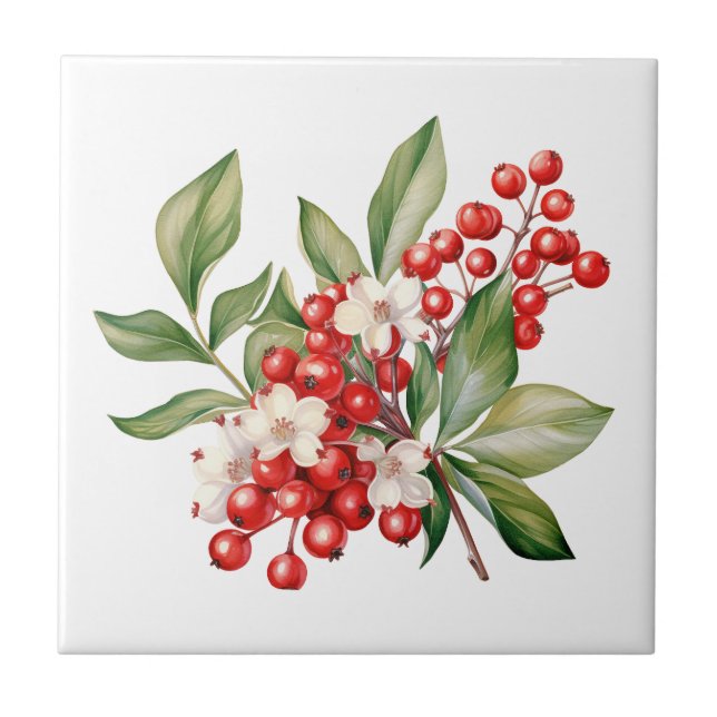 Azulejo Holiday Red Berries Floral Ceramic Tile (Frente)