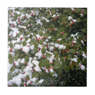 Azulejo Holly and Snow