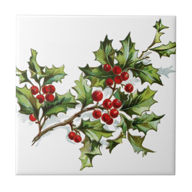 Azulejo Holly Berries 001 (Frente)