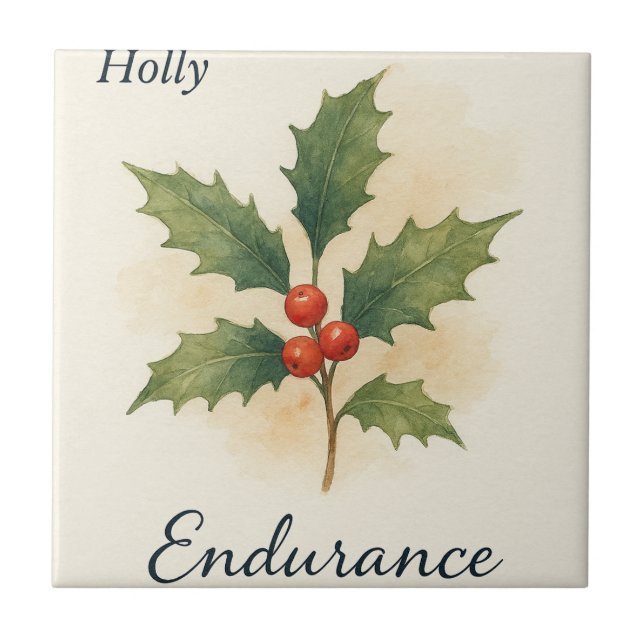 Azulejo Holly — Endurance (Frente)