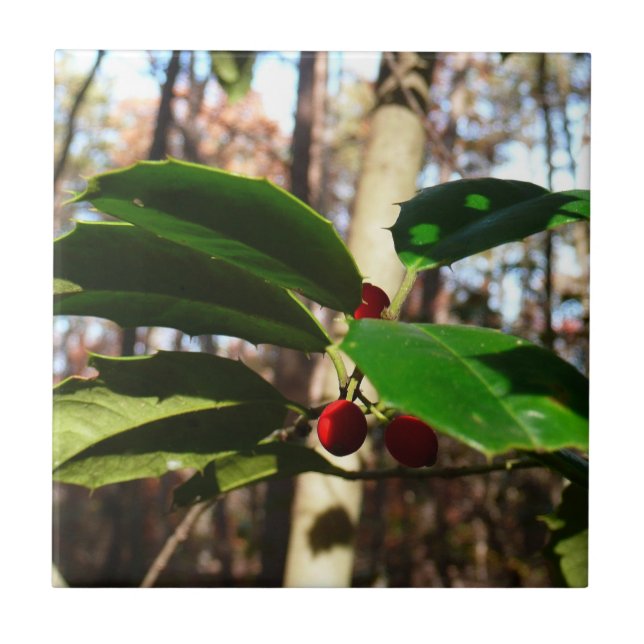 Azulejo Holly Leaves I Holiday Botanical (Frente)