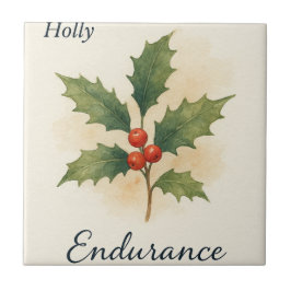 Azulejo Holly — Resistencia