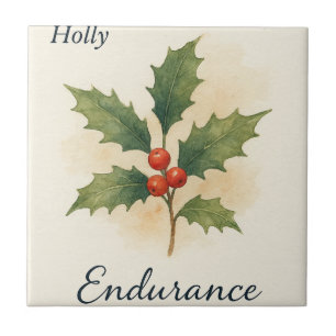 Azulejo Holly — Resistencia