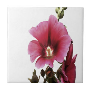 Azulejo Hollyhock Rosa Celestial Flor Malva Floral