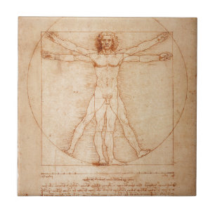 Azulejo Hombre de Vitruvian