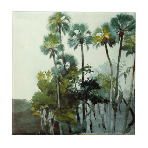 Azulejo Homer - Río Homosassa