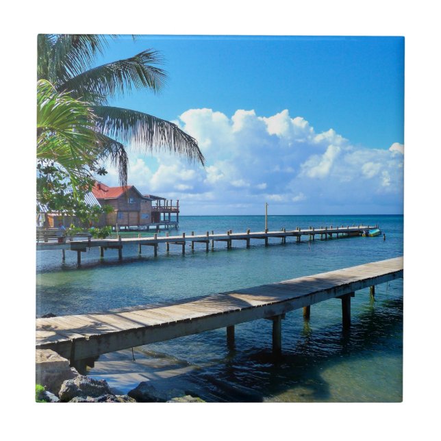 Azulejo Honduras - Playa Roantan (Frente)