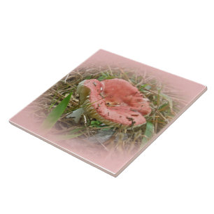 Azulejo Hongo rosa - frente derecho