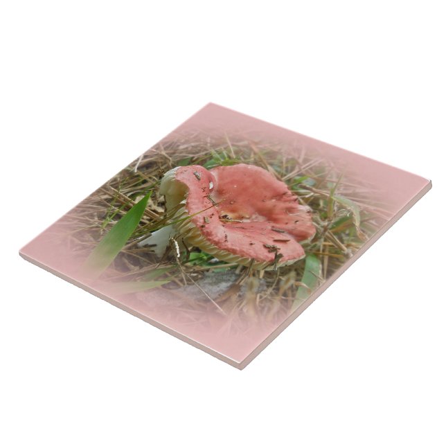 Azulejo Hongo rosa - frente derecho (Lado)