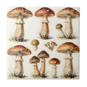 Azulejo Hongo Toadstool Botánico Vintage Fungi
