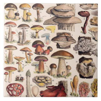 Azulejo Hongos antiguos por Adolphe Millot