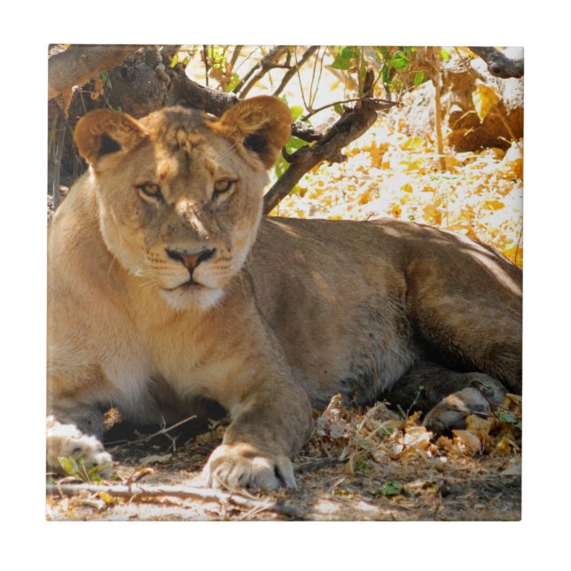 Azulejo Hora de la Siesta (Frente)