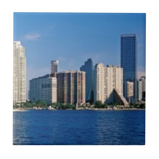 Azulejo Horizonte de Miami, la Florida (Frente)