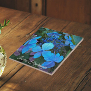 Azulejo Hortensia Blue Lacecap Floral