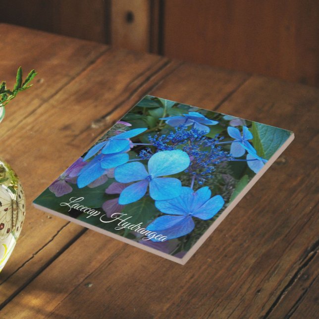 Azulejo Hortensia Blue Lacecap Floral (In Situ)