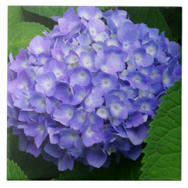 Azulejo Hortensia Lavanda