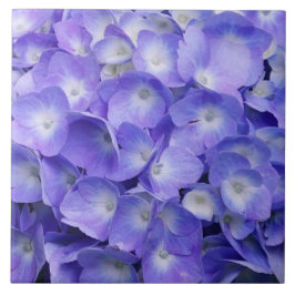 Azulejo Hortensia Lavanda