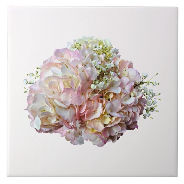 Azulejo Hortensia Rosa Pálido Con Aliento de Bebé (Frente)