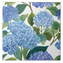 Hortensias Azules | Hermoso Arbusto Floral