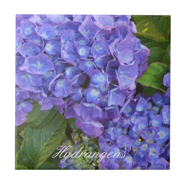 Azulejo Hortensias Moradas (Frente)