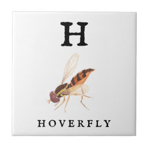 Azulejo Hoverfly