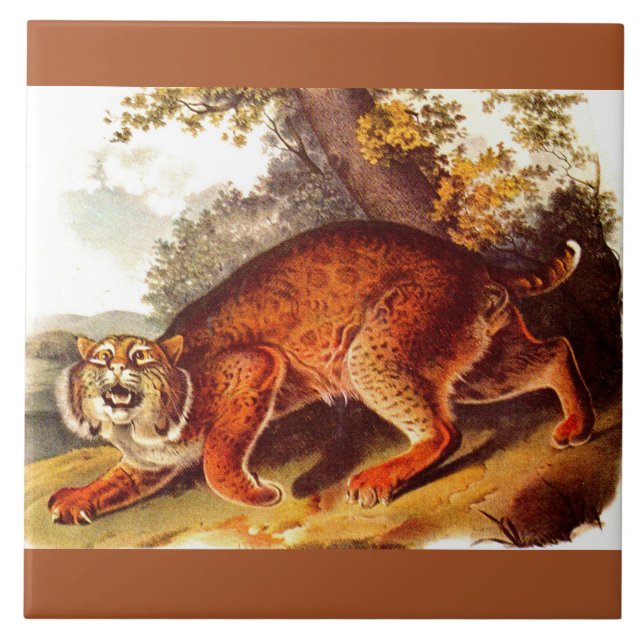 Azulejo Huella bobcat del siglo XIX (Frente)