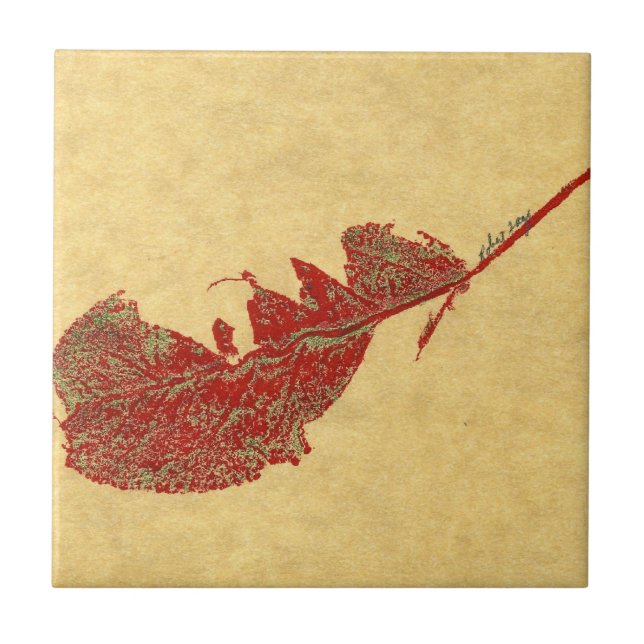 Azulejo Huella de hoja natural de un gusano comido hoja de (Frente)