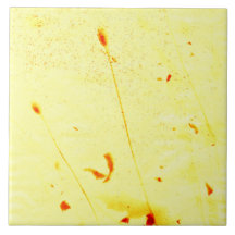 Huella solar de tallos de amapola secos