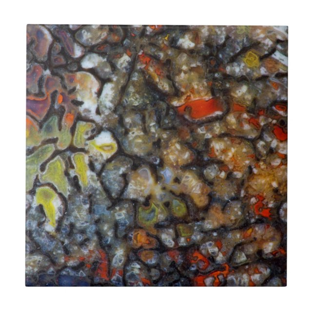 Azulejo Hueso de dinosaurio colorido (Frente)