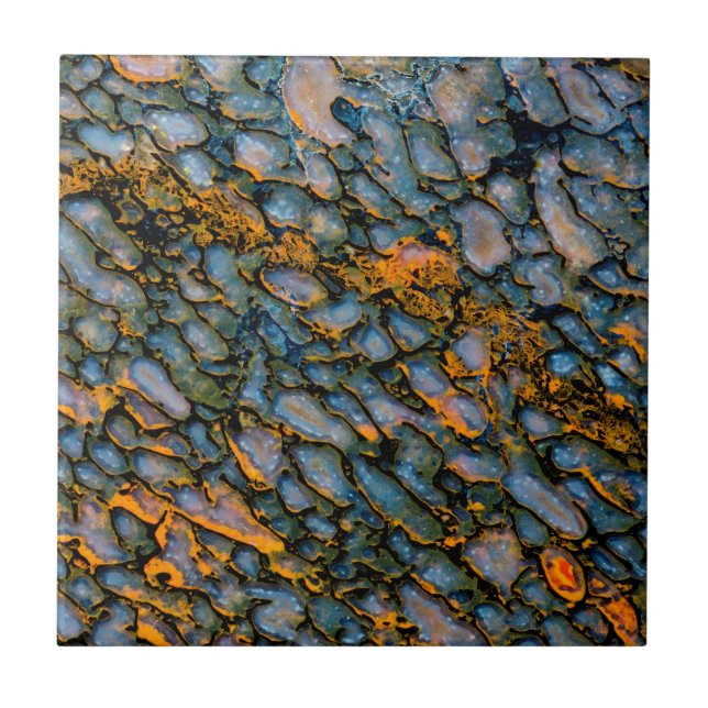 Azulejo Hueso de dinosaurio Petrificado (Frente)