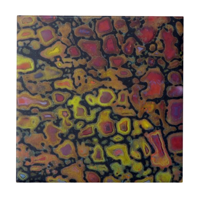 Azulejo Hueso de dinosaurio Petrificado con arcoiris (Frente)