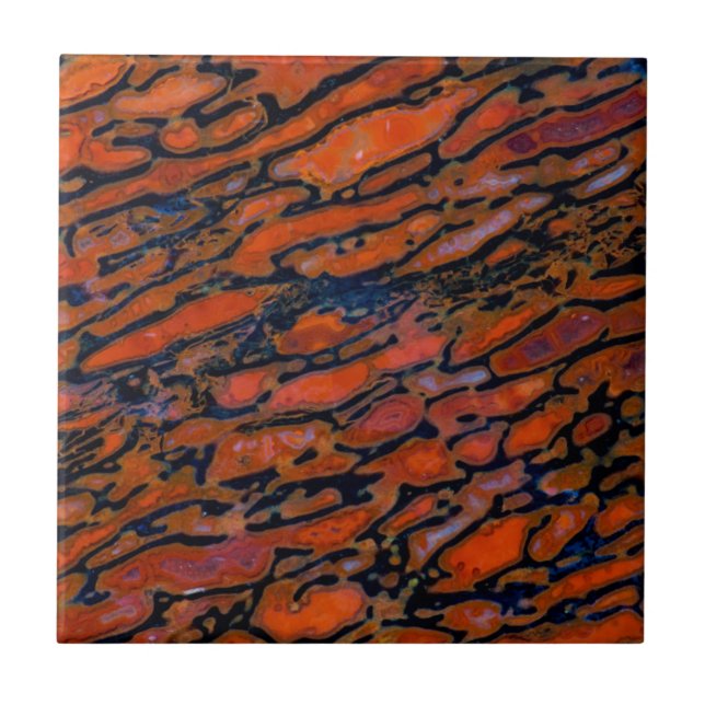 Azulejo Hueso de dinosaurio petrificado rojo (Frente)