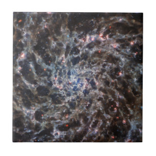 Azulejo Huesos de Galaxy IC5332 de JWST