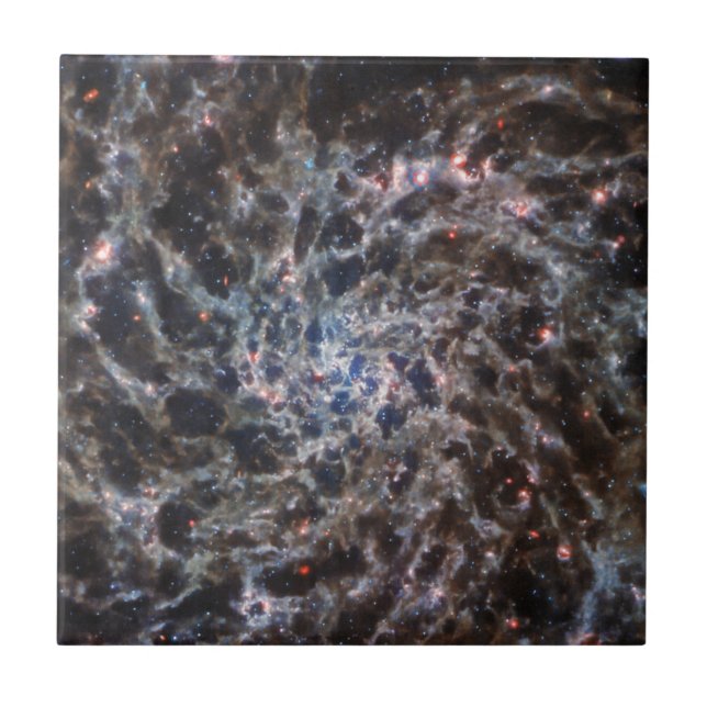 Azulejo Huesos de Galaxy IC5332 de JWST (Frente)