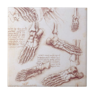 Azulejo Huesos del pie de la anatomía humana de Leonardo d