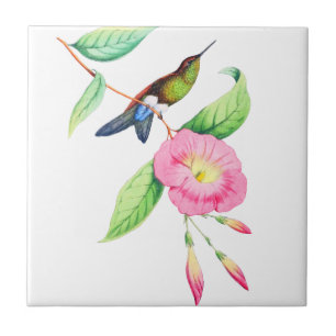 Azulejo Humingbird E Hybiscus