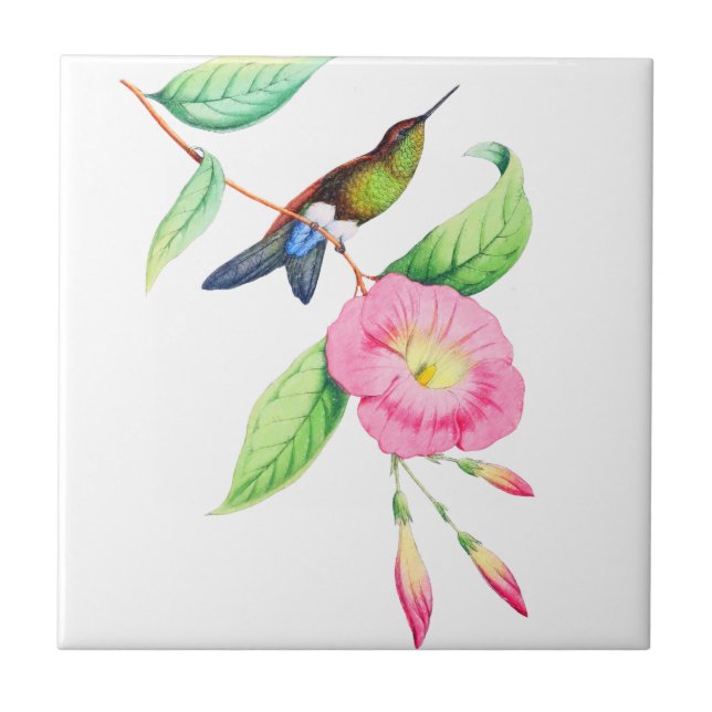 Azulejo Humingbird E Hybiscus (Frente)