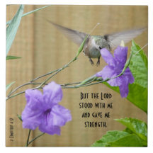 Hummingbird alimentándose de flores con versículo