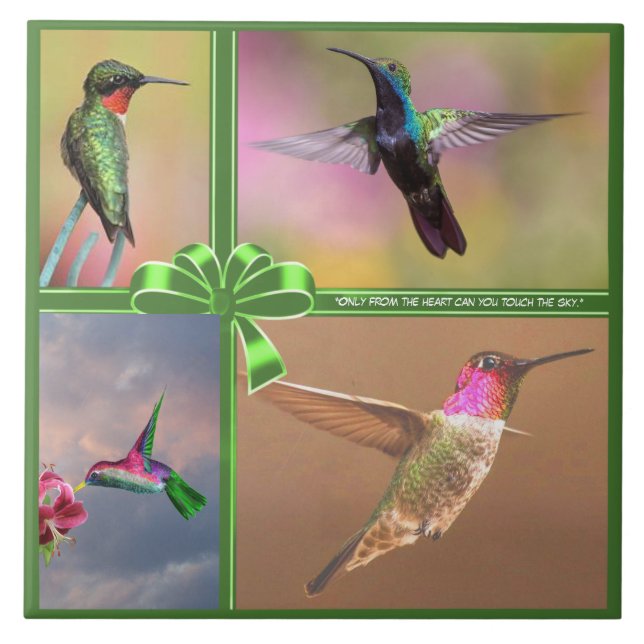 AZULEJO HUMMINGBIRD COLLAGE, CITA (Frente)