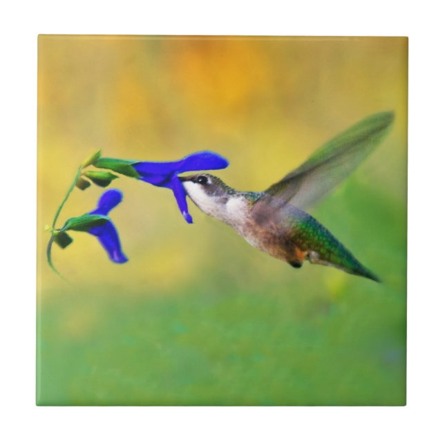 Azulejo Hummingbird Lunch (Frente)