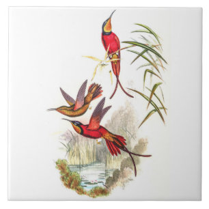 Azulejo Hummingbirds por la cosecha de vintage por John Go