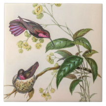 Hummingbirds por la cosecha de vintage por John Go