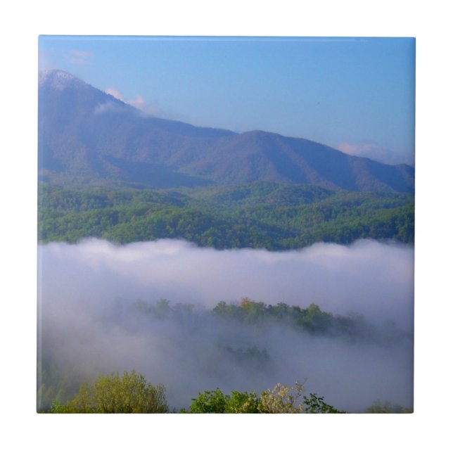 Azulejo Humo (Frente)