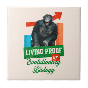 Azulejo Humor divertido de biología evolutiva de chimpancé