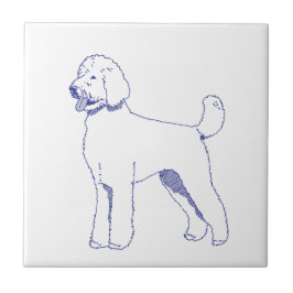 Azulejo Hunderasse Goldendoodle